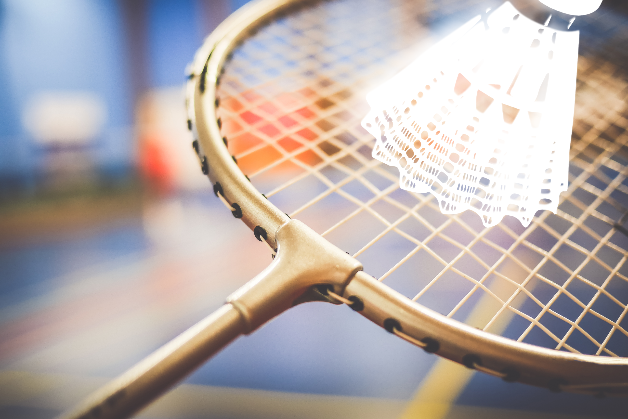 racketsport