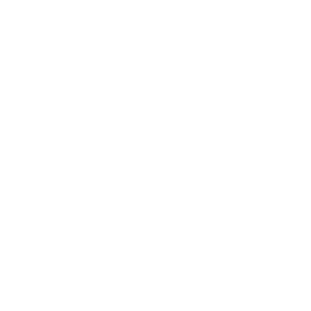 light logo